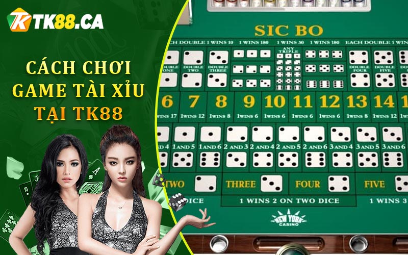 Cách Chơi Game Tài Xỉu Tại TK88 Cách Chơi Game Tài Xỉu Tại TK88