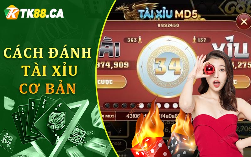Cách Đánh Tài Xỉu Cơ Bản Cách Đánh Tài Xỉu Cơ Bản