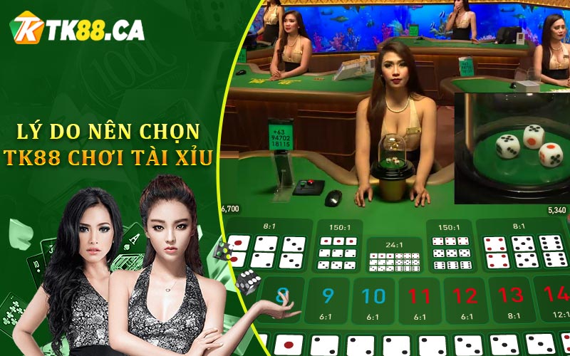 Lý Do Nên Chọn TK88 Chơi Tài Xỉu Lý Do Nên Chọn TK88 Chơi Tài Xỉu