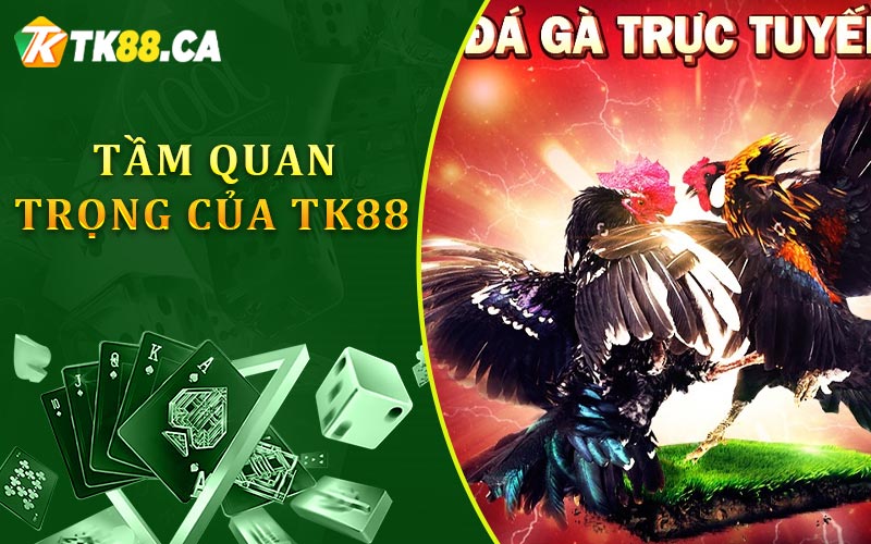 Tầm quan trọng của trực tiếp đá gà TK88 Tầm quan trọng của trực tiếp đá gà TK88